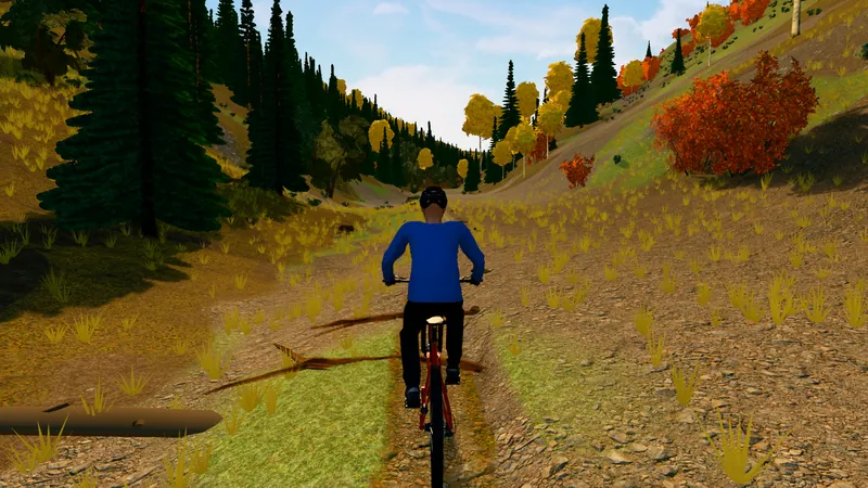 Rider climbing a dirt trail through spruce and autumn scrub