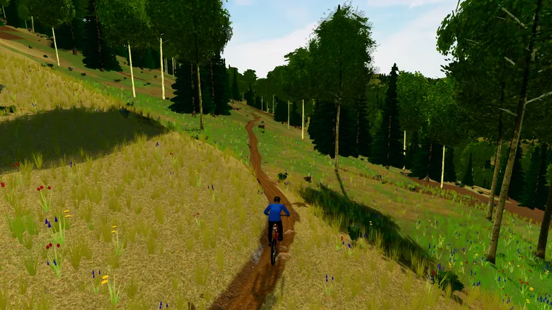 Narrow singletrack through aspens on Tour des Suds